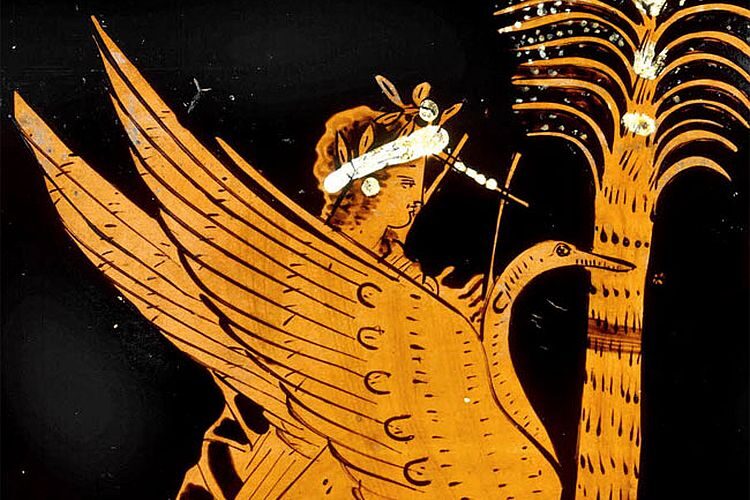 5-Joutsen, Apollon lintu / The swan, Apollon’s bird